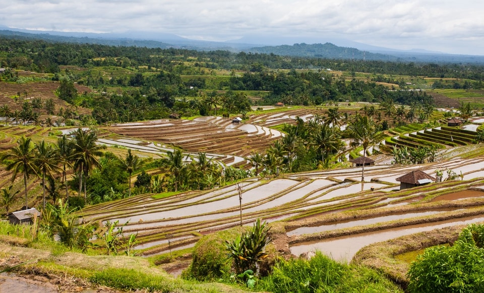 Bali photo: img 8437 medium