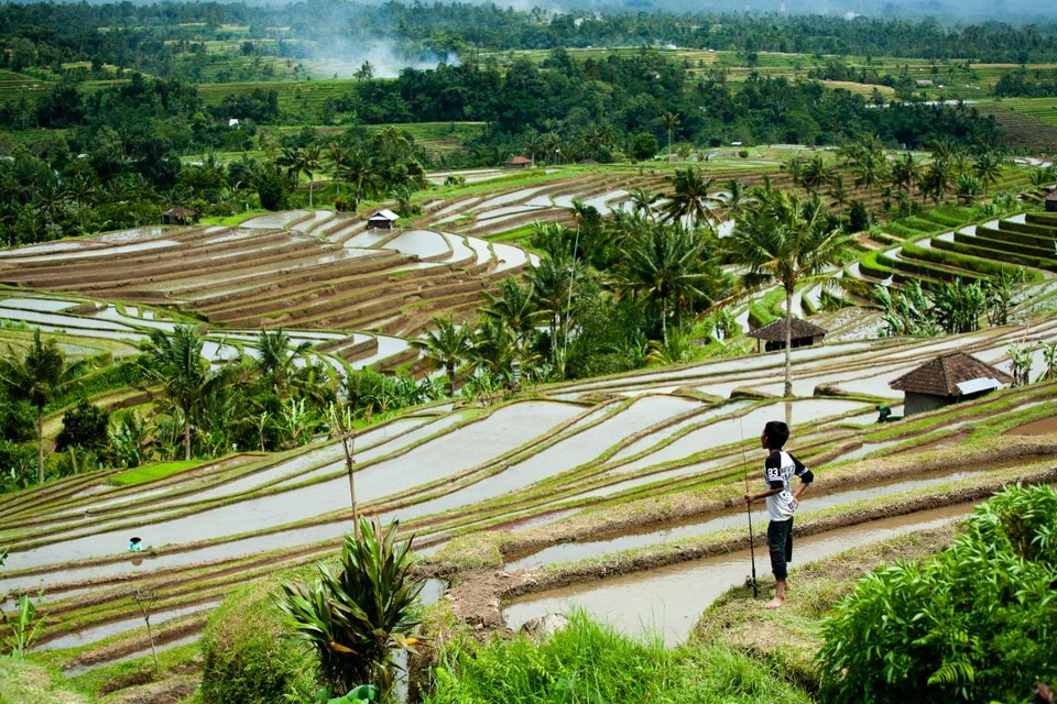 Bali photo: img 8476 medium