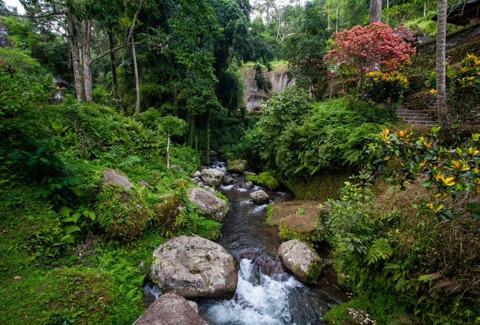 Bali photo: img 8493 medium