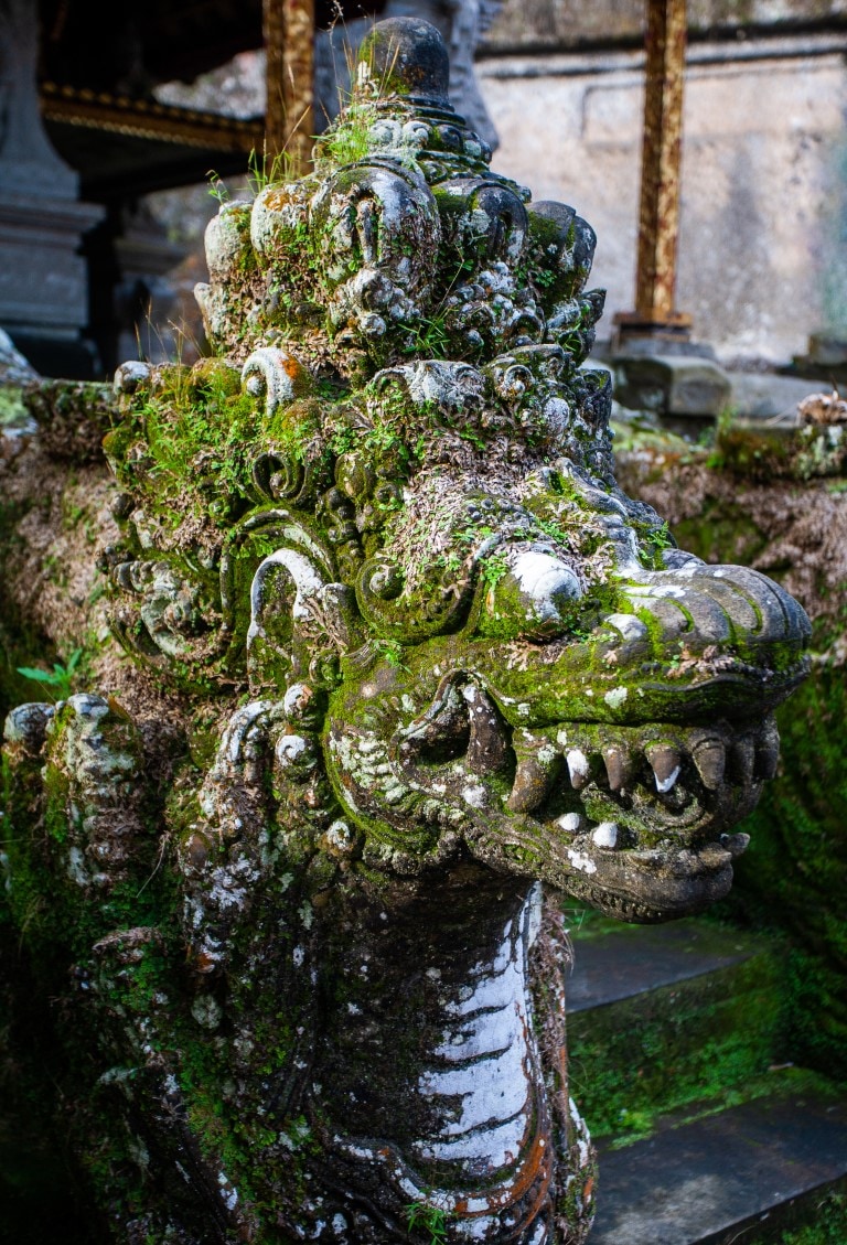 Bali photo: img 8506 medium