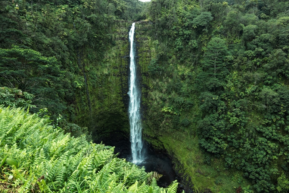 Hawaii photo: mg 5381
