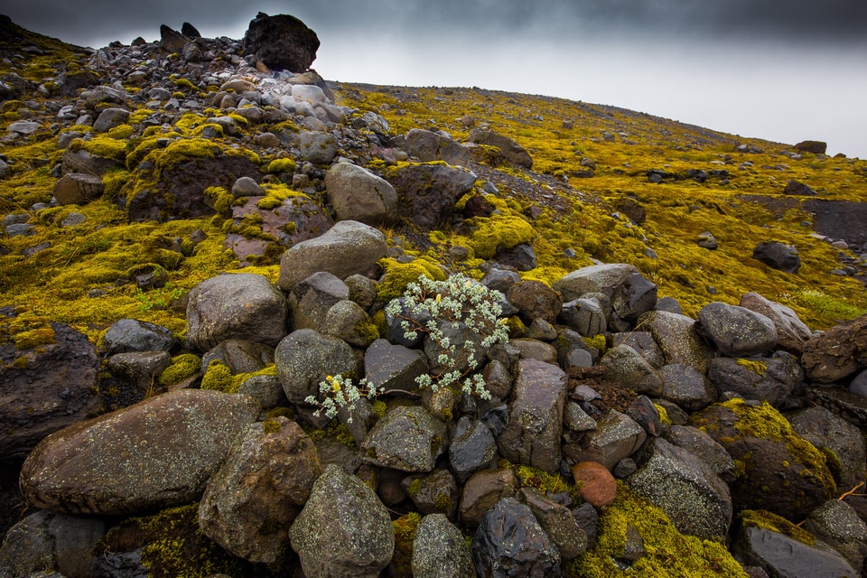 Iceland photo: img 1105