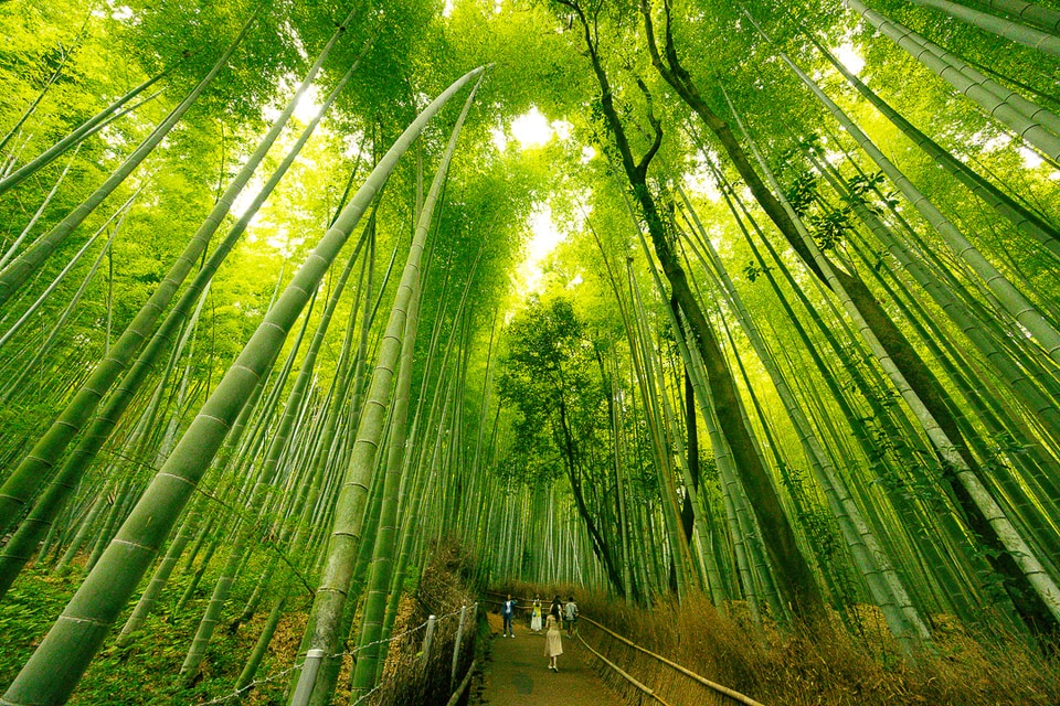 Japan photo: mg 8746
