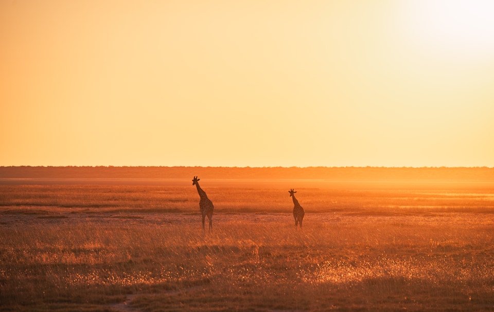 Namibia photo: IMG 8338