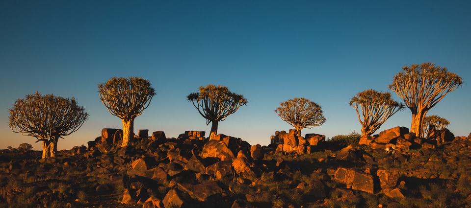 Namibia photo: MG 4574