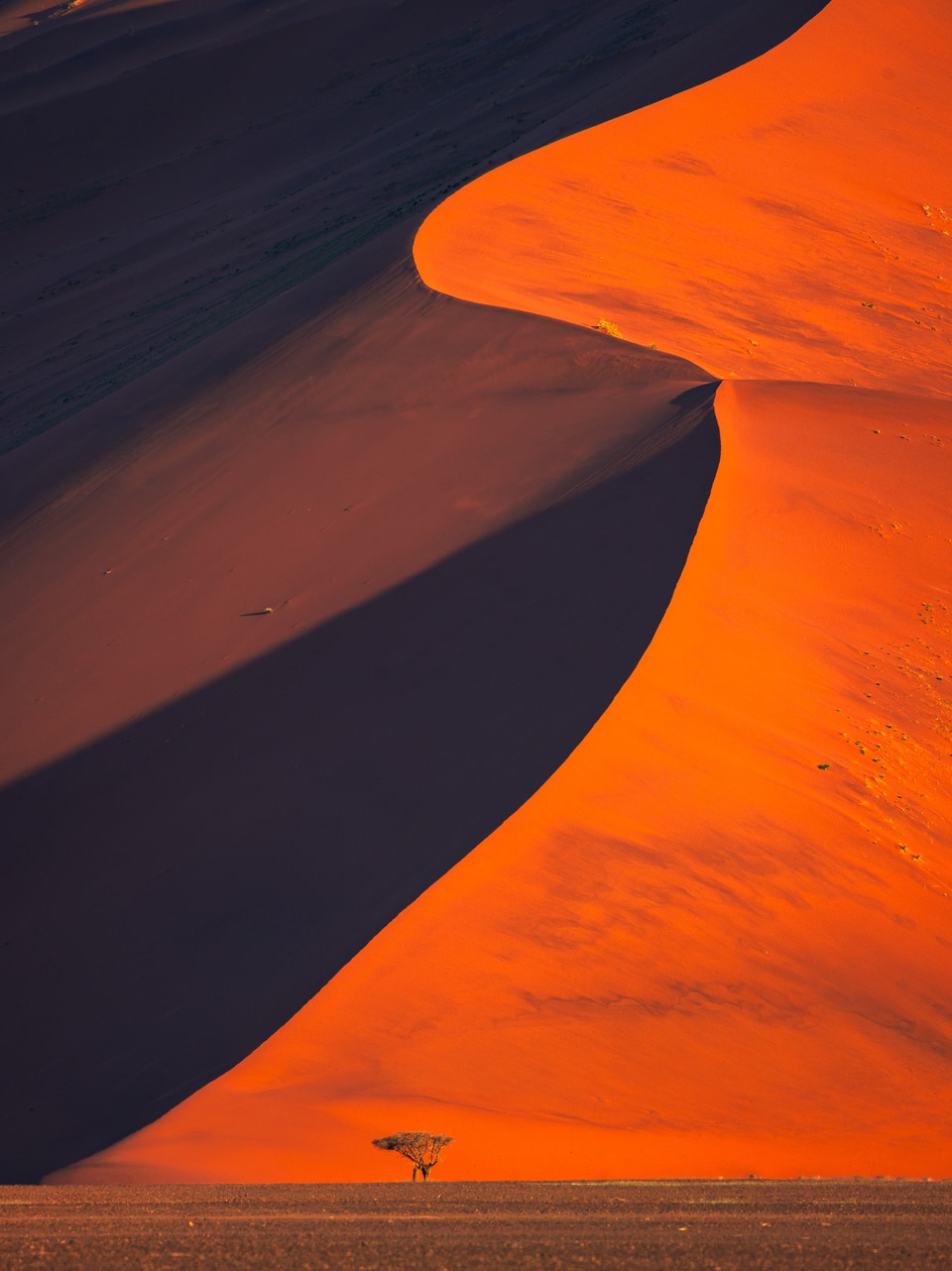Namibia photo: MG 5464