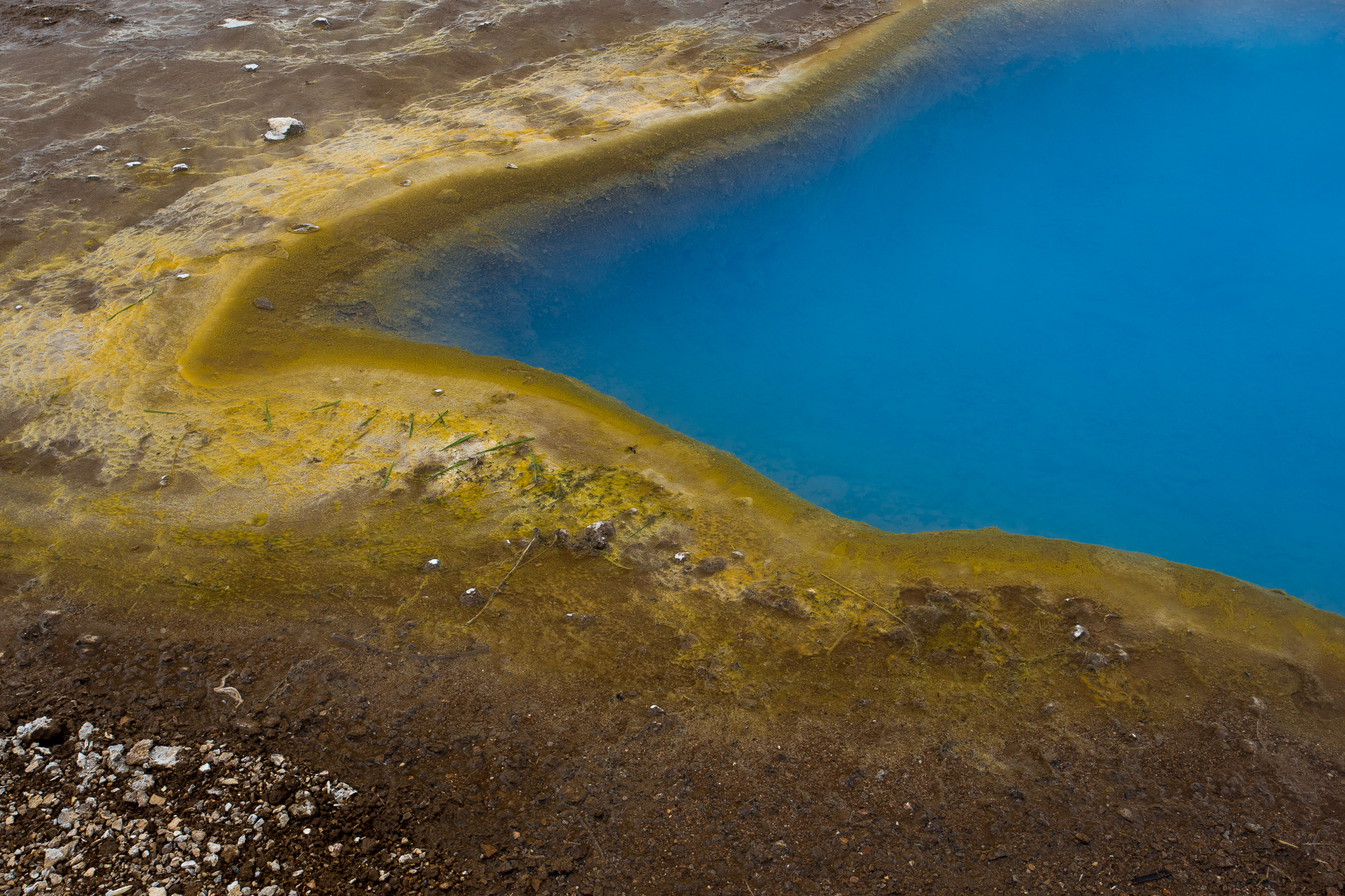 Geysir Iceland