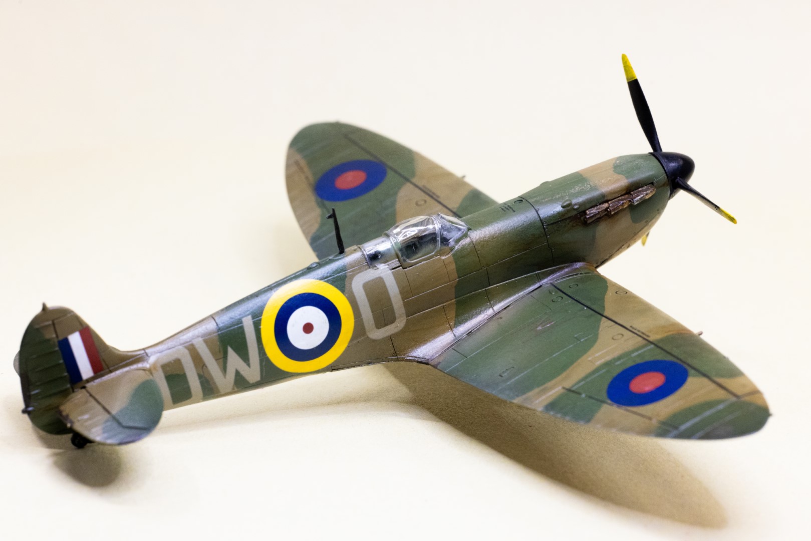 Scale Models collection cover